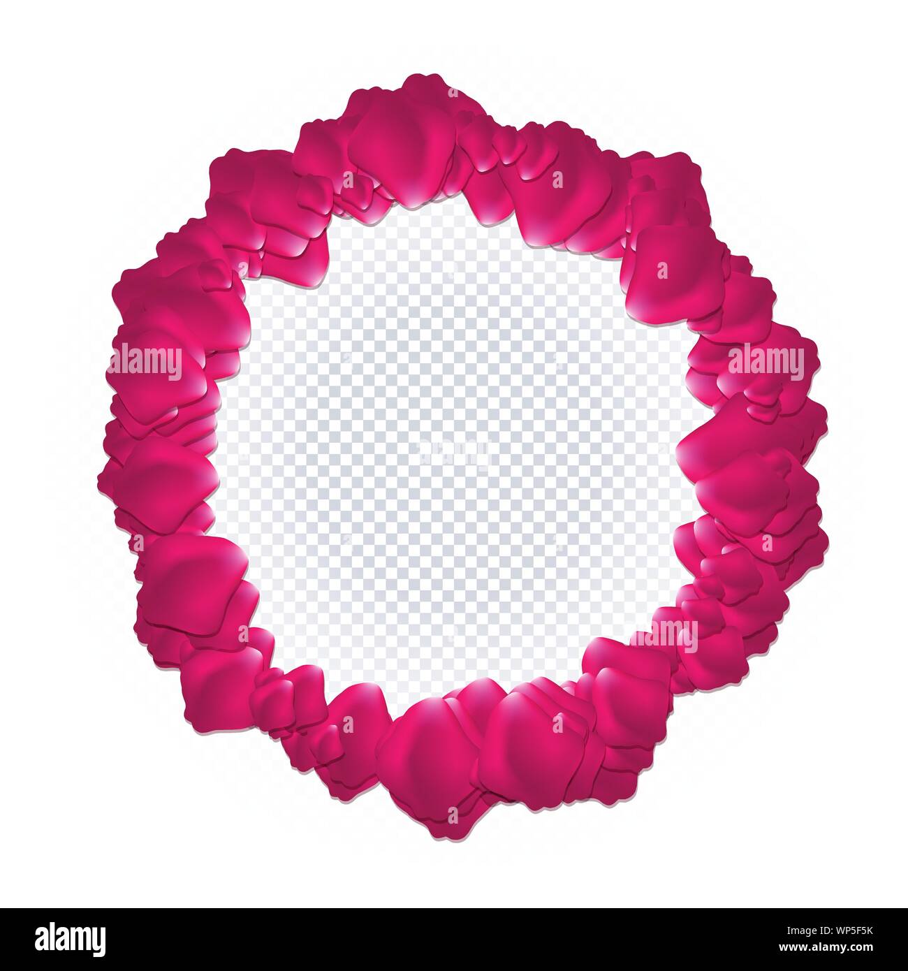 Red and pink roses petals are falling down Vector Image