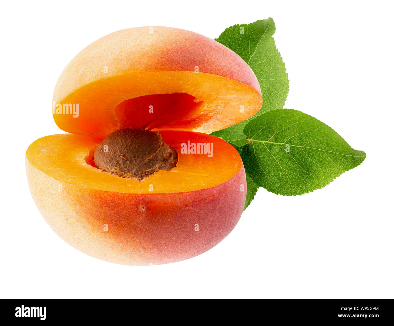 apricot with leaves isolated on a white background Stock Photo - Alamy