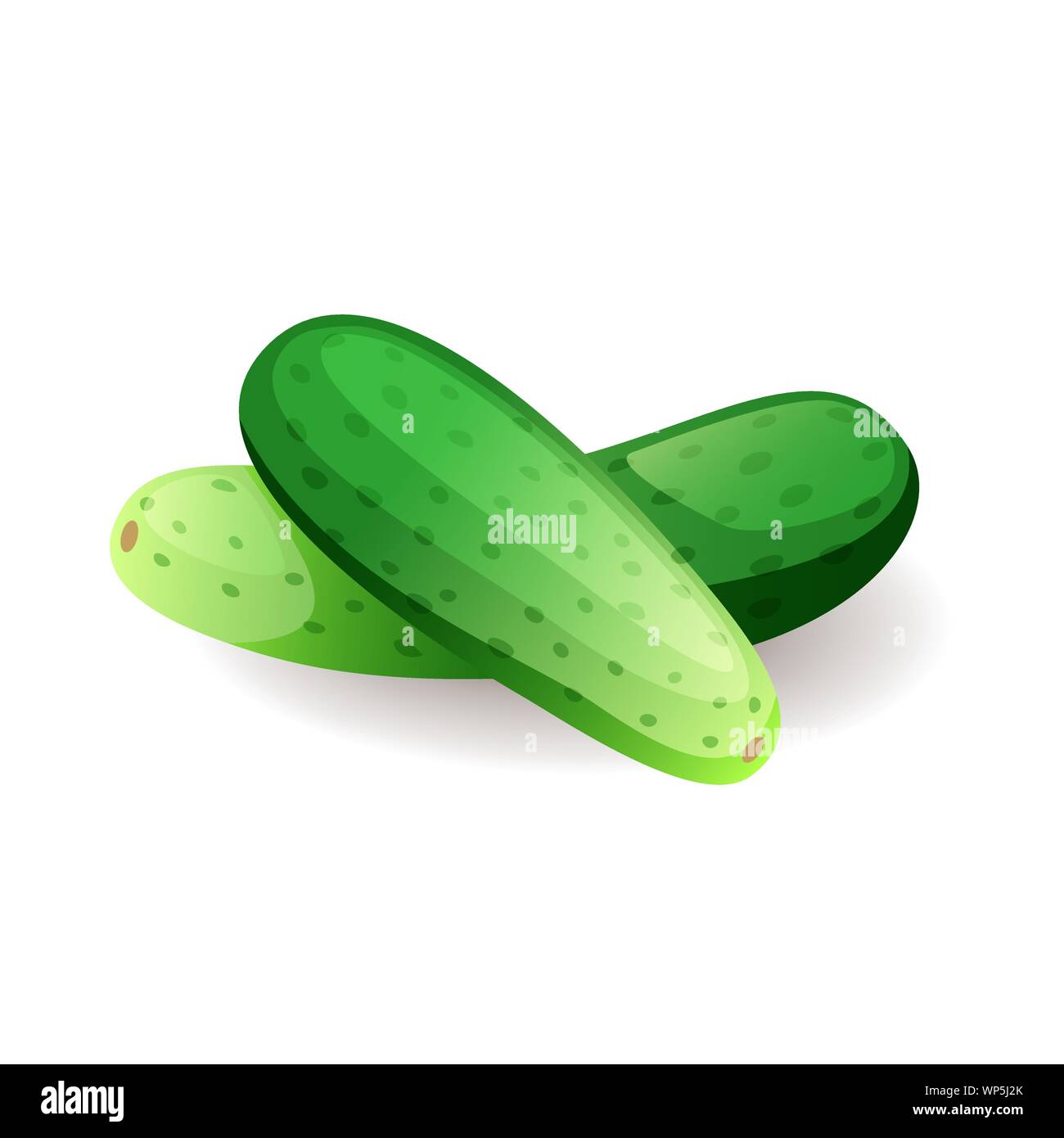 Fresh green cucumbers icon isolated on white background, farm organic healthy food, vegetable, vector illustration. Stock Vector