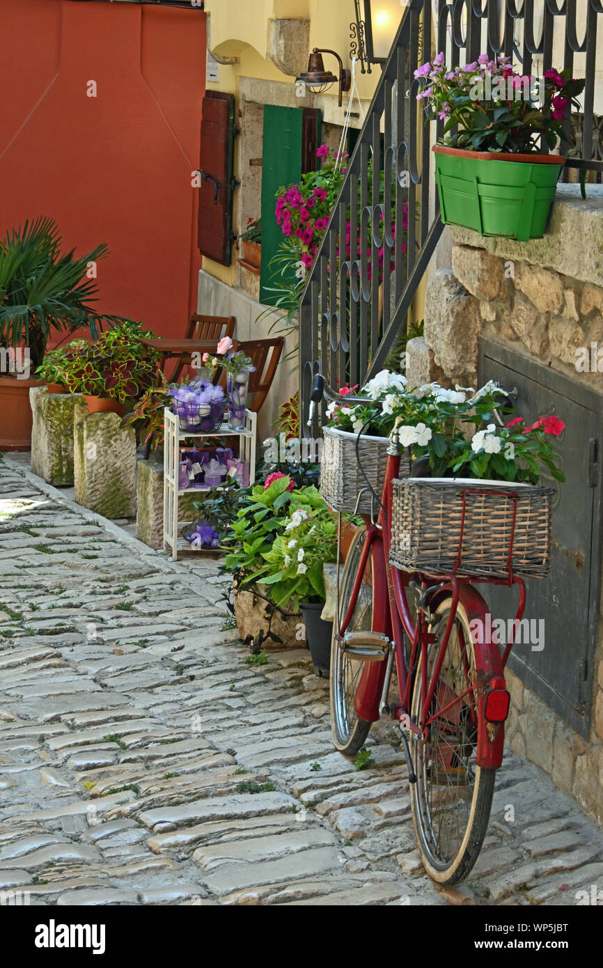 Narrow cobbled street, floral displays, Rovinj Old Town, Croatia Stock Photo