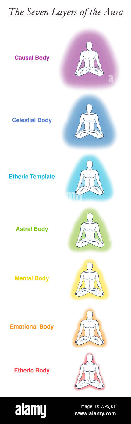 Seven aura bodies chart of a meditating yoga man. Labeled chart - etheric, emotional, mental, astral, celestial and causal layer an template. Stock Photo