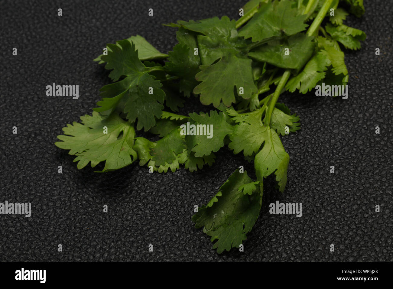 Fresh ripe Green cilantro leaves spice Stock Photo Alamy