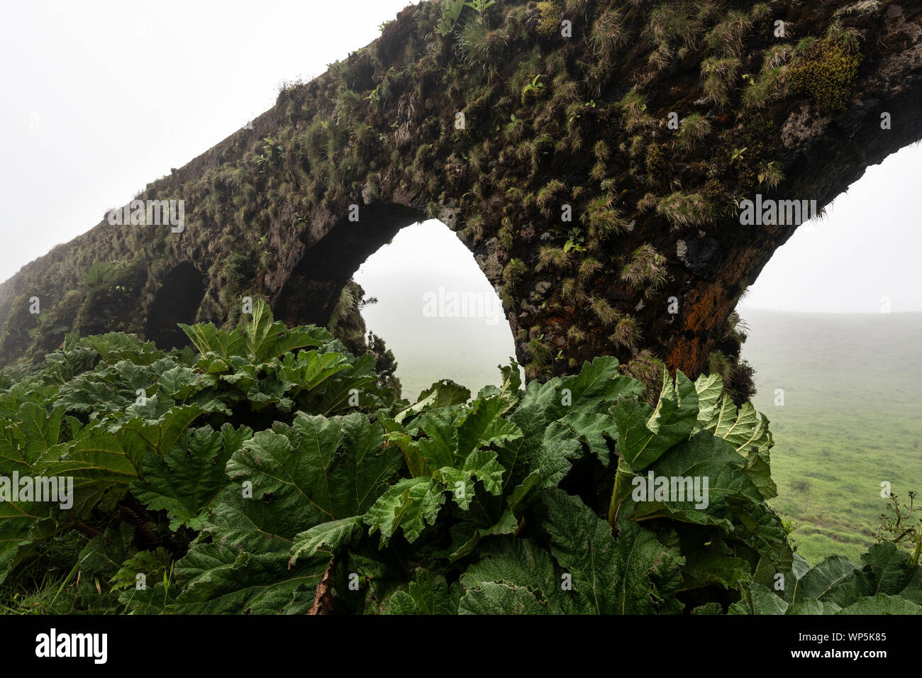 The famous aqueducts from São Miguel Island near Sete Cidades on the Azores, Portugal Stock Photo