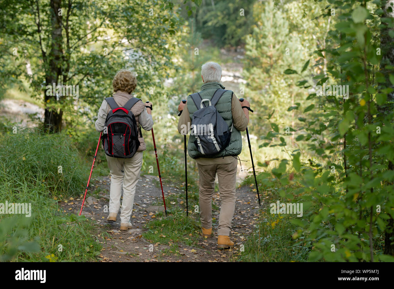 Mature man and woman with trekking sticks moving between green trees and bushes Stock Photo
