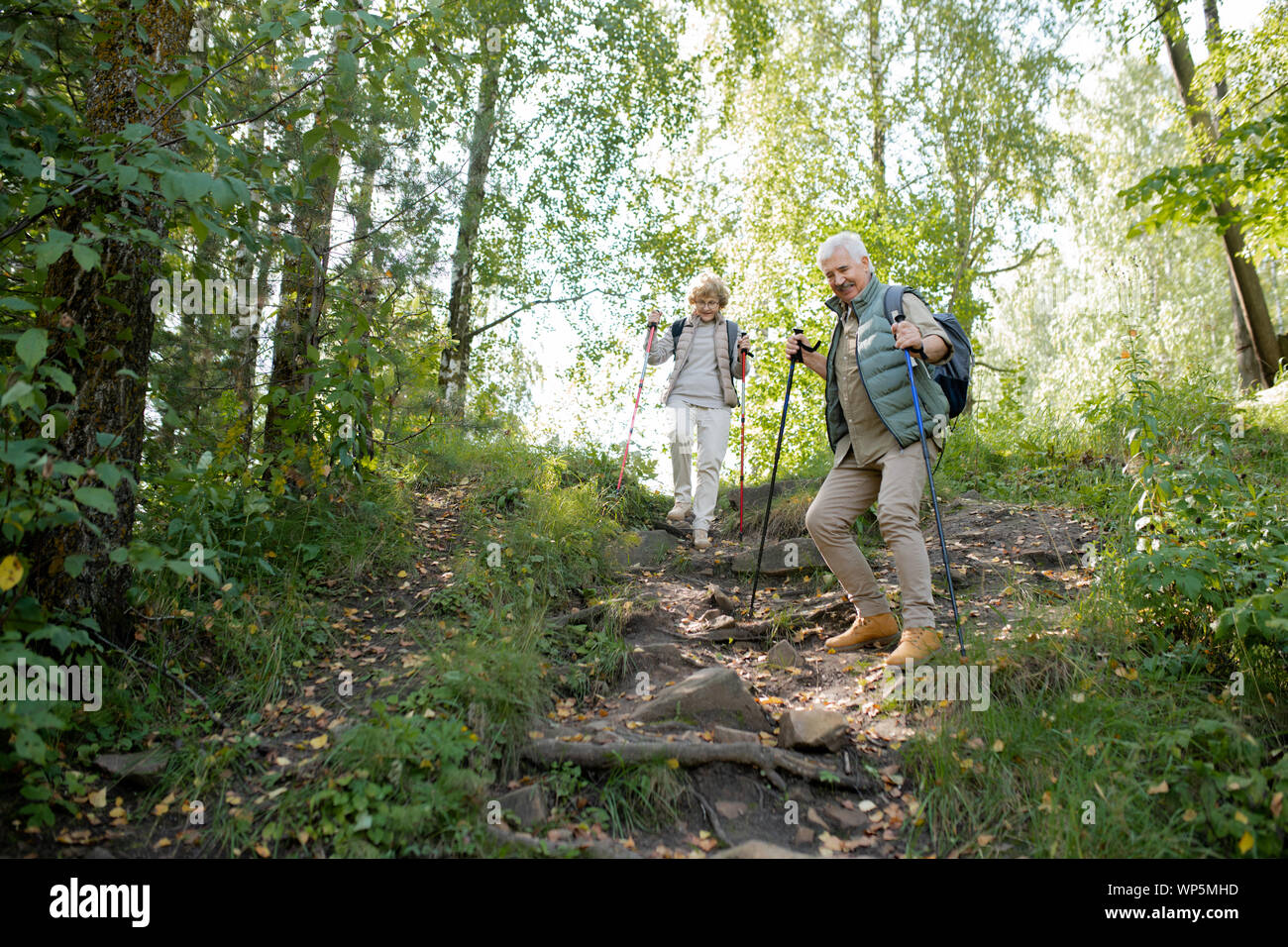 Mature man and woman with trekking sticks moving down hill in the forest Stock Photo