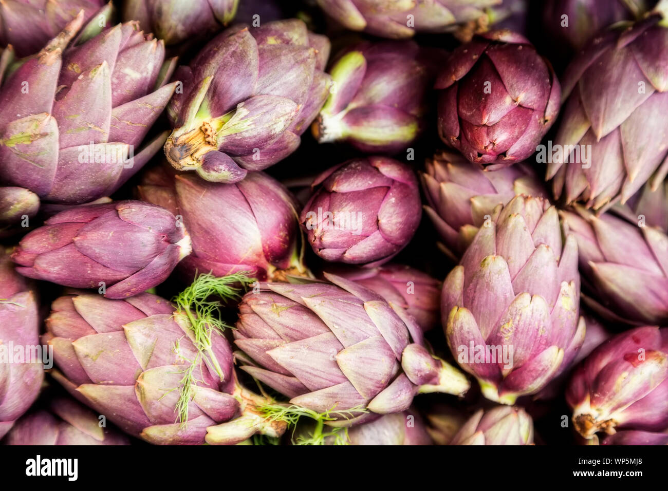 Bunch of purple artichokes in random pile at a farmers market Stock Photo Alamy