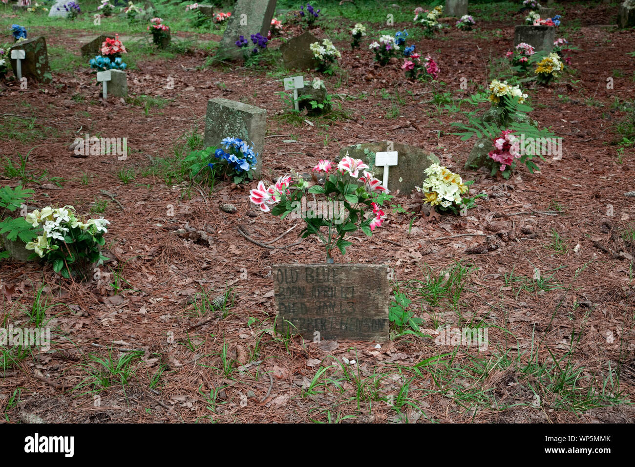 Key Underwood Coon Dog Memorial Graveyard, Colbert County, Alabama