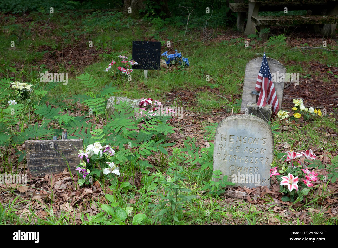 Key Underwood Coon Dog Memorial Graveyard, Colbert County, Alabama