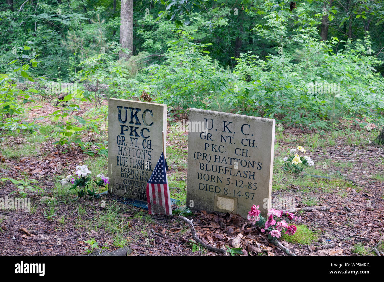 Key Underwood Coon Dog Memorial Graveyard, Colbert County, Alabama