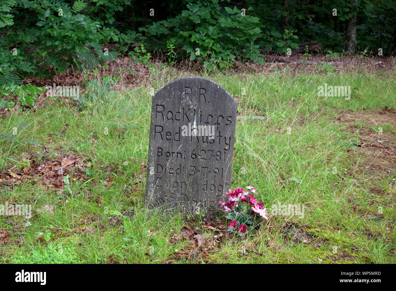 Key Underwood Coon Dog Memorial Graveyard, Colbert County, Alabama