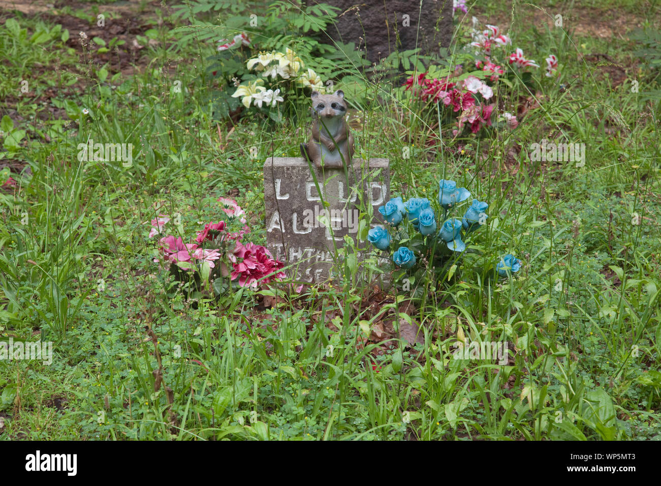 Key Underwood Coon Dog Memorial Graveyard, Colbert County, Alabama