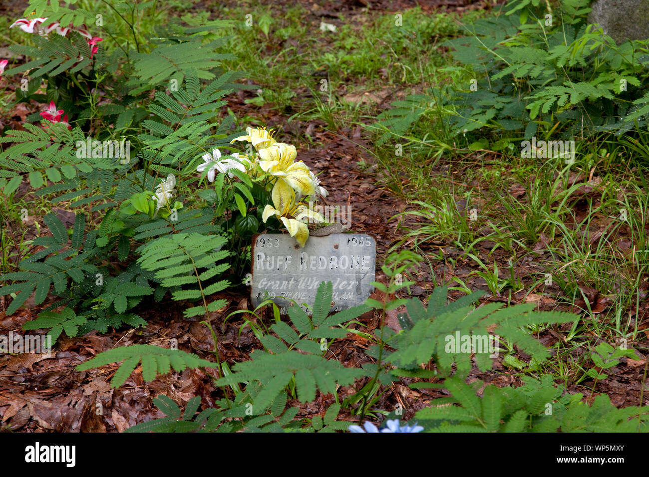 Key Underwood Coon Dog Memorial Graveyard, Colbert County, Alabama