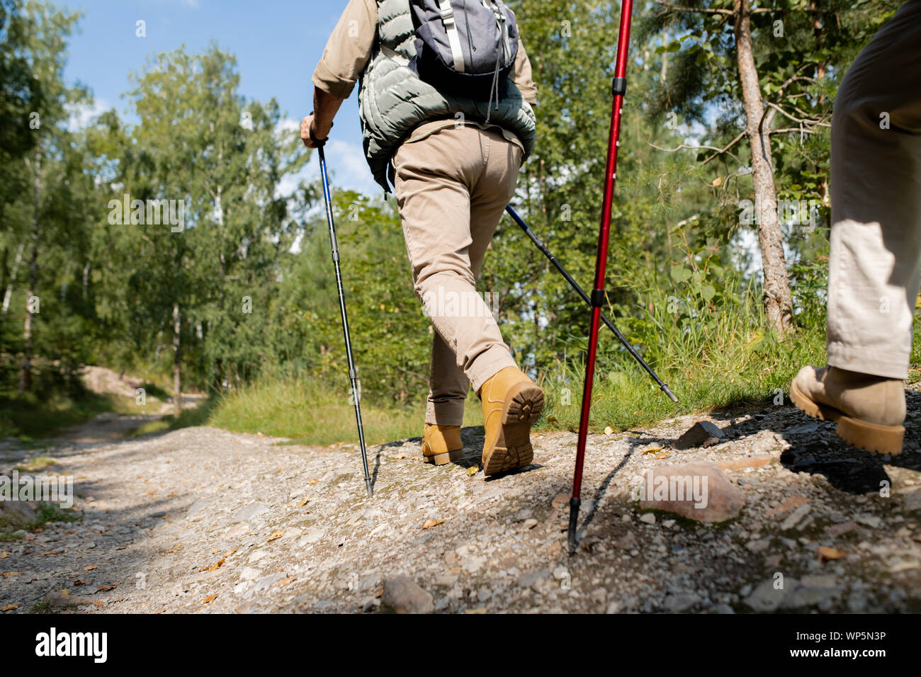 Active man with trekking sticks and backpack moving down forest road Stock Photo