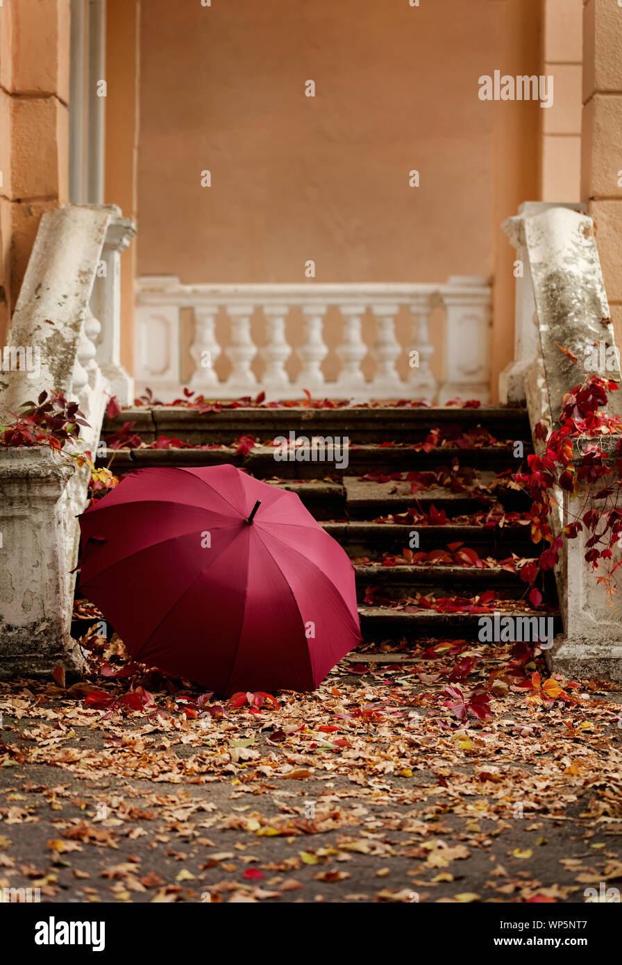 Autumn leaf fall. Red and yellow leaves on the destroyed old stone steps burgundy (marsala color) umbrella. Blur effect. Stock Photo