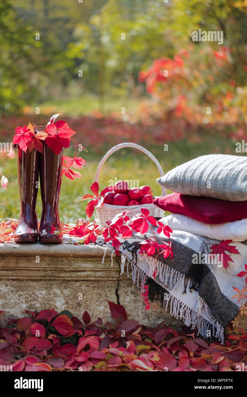 Autumn garden. On the stone bench there is a blanket, pillows, a basket ...