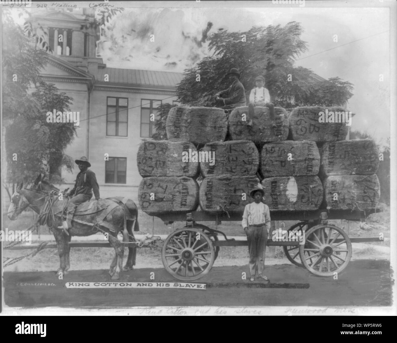 King Cotton and his slaves, Greenwood, Miss Stock Photo Alamy