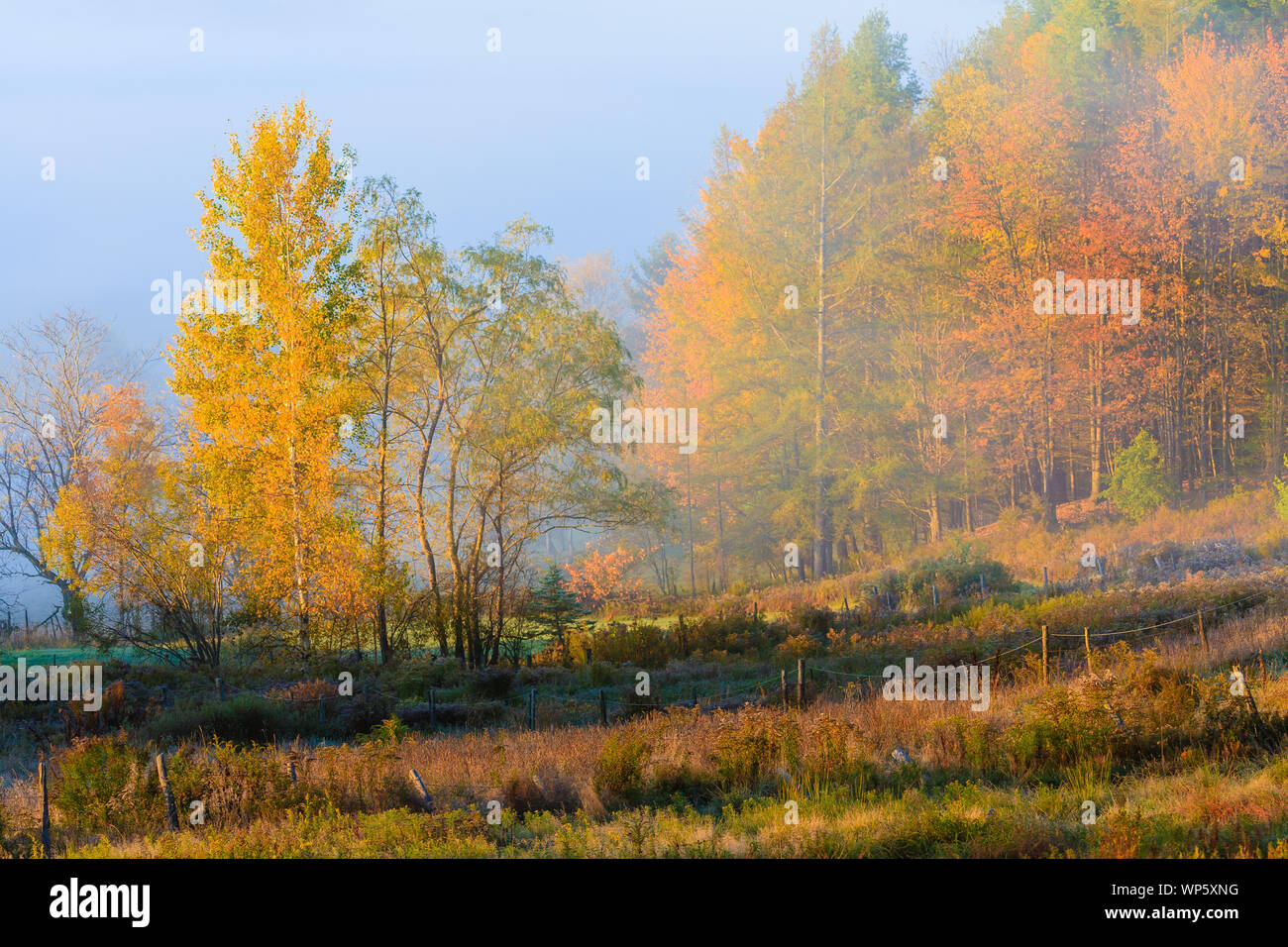 Rural country scene in the fall, Stowe, Vermont, USA Stock Photo - Alamy