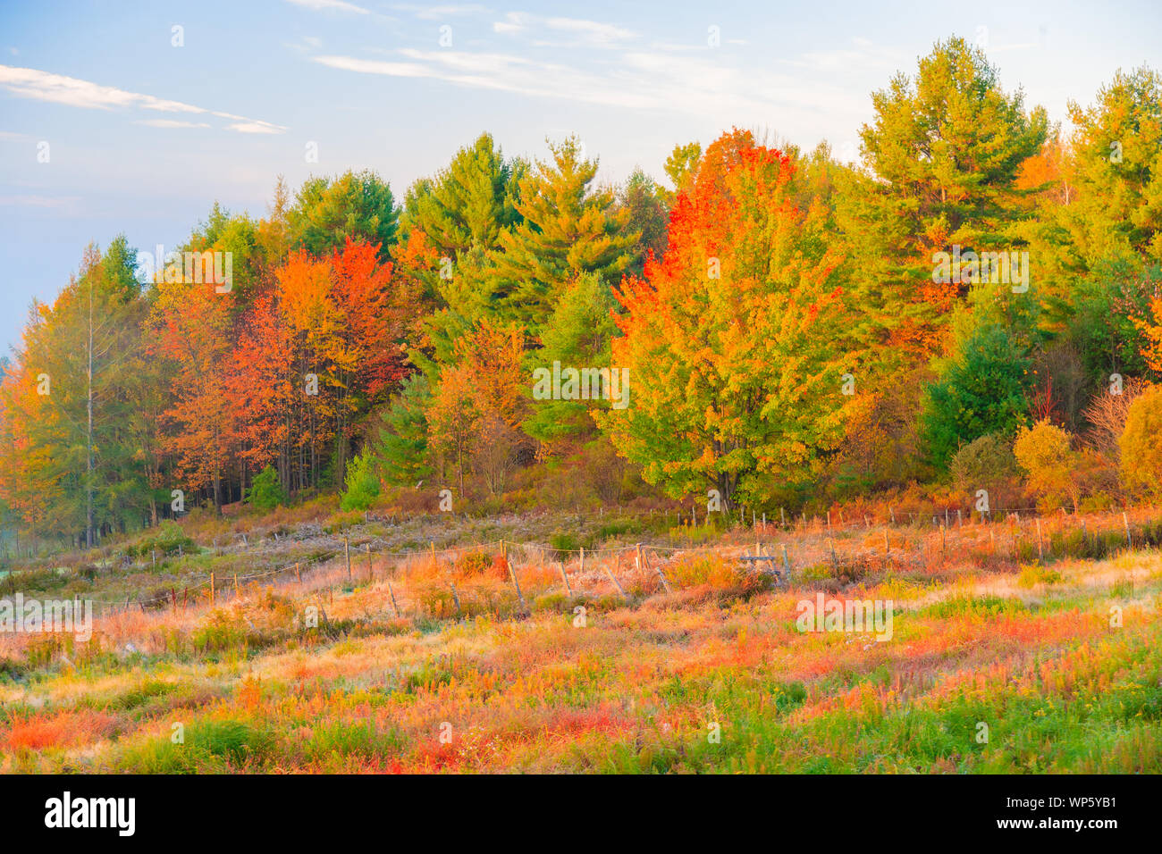 Rural country scene in the fall, Stowe, Vermont, USA Stock Photo - Alamy