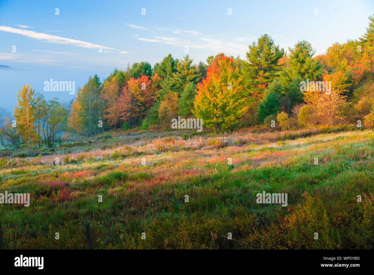 Rural country scene in the fall, Stowe, Vermont, USA Stock Photo - Alamy