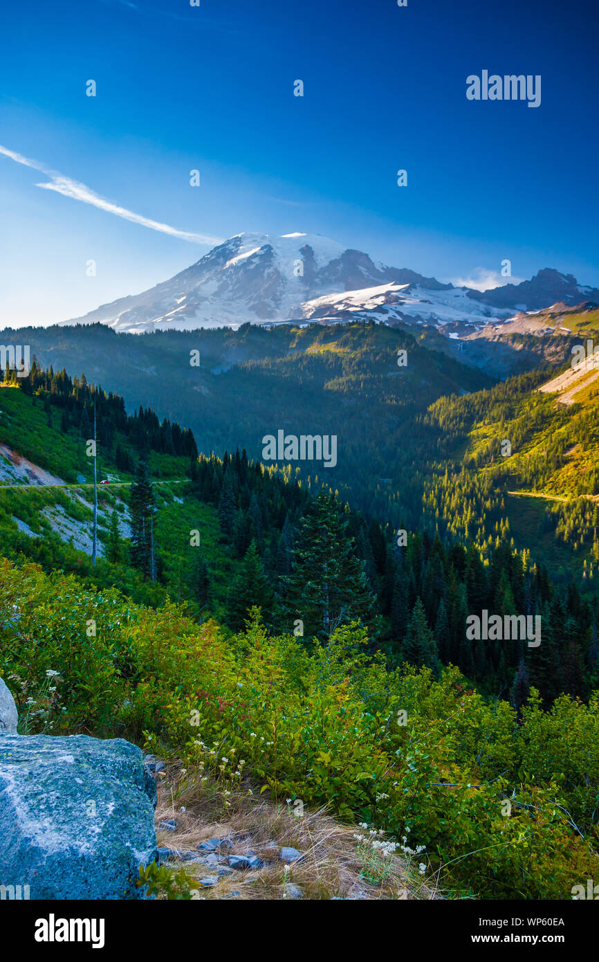 Overlooking a valley forest of pine trees with snow covered Mt. Rainier in the distance during