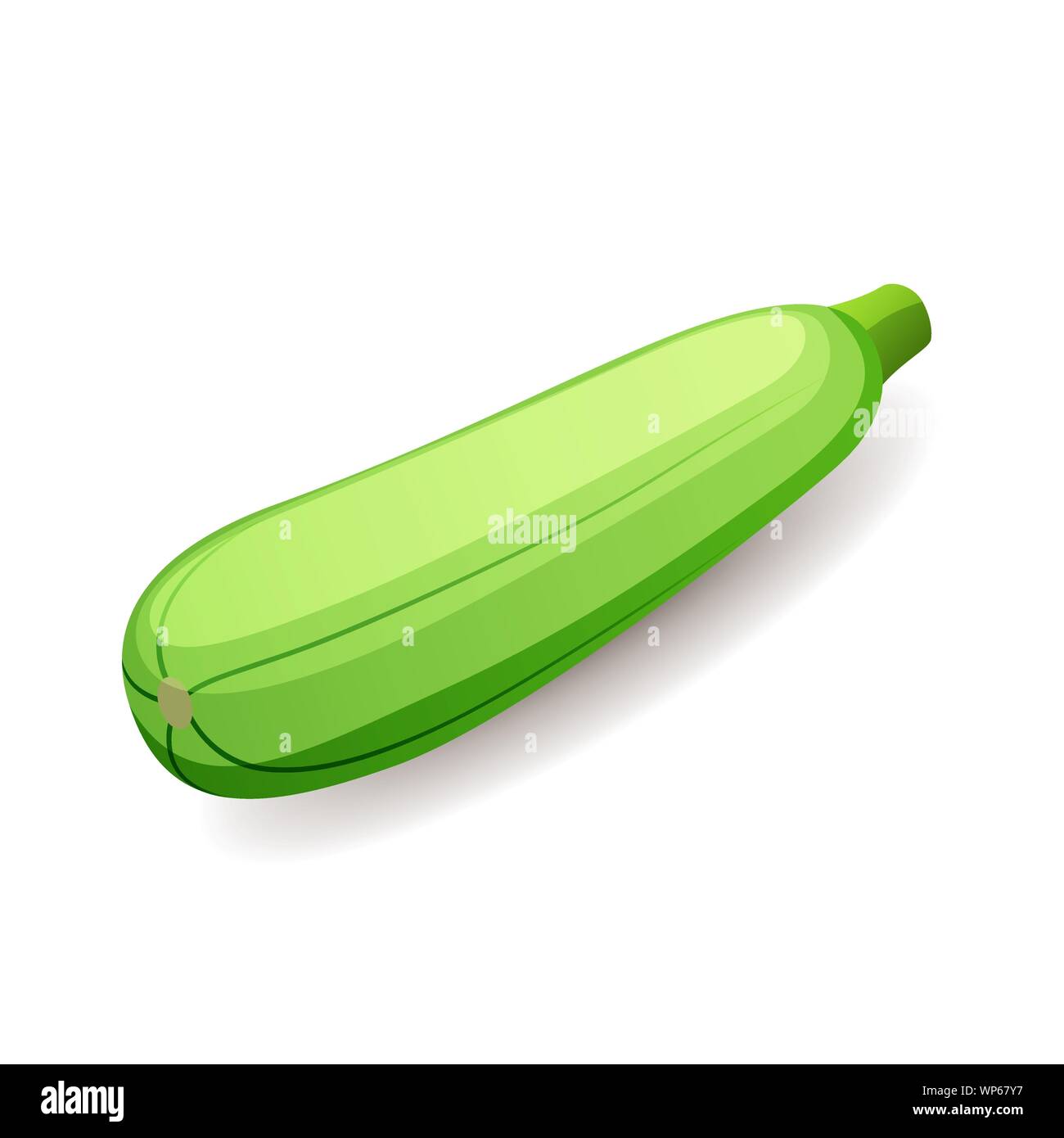 Fresh green squash icon isolated, healthy organic food, vegetable, vector illustration. Stock Vector