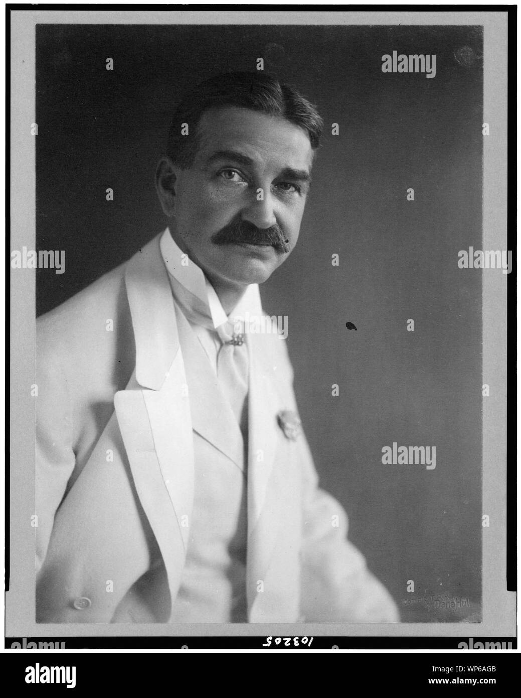 Baum portrait Cut Out Stock Images & Pictures Alamy