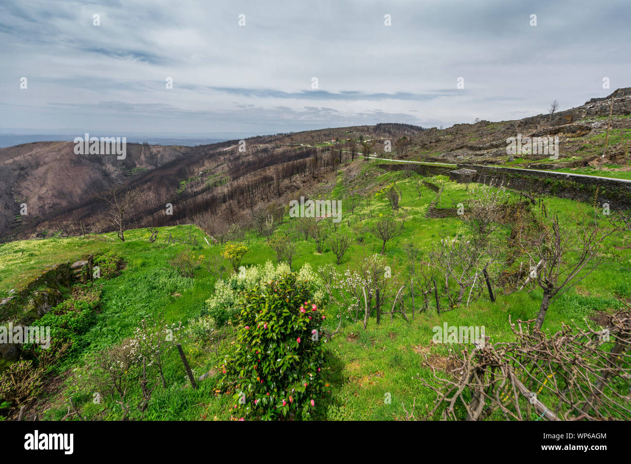 Peaceful view in Portuguese countryside Stock Photo