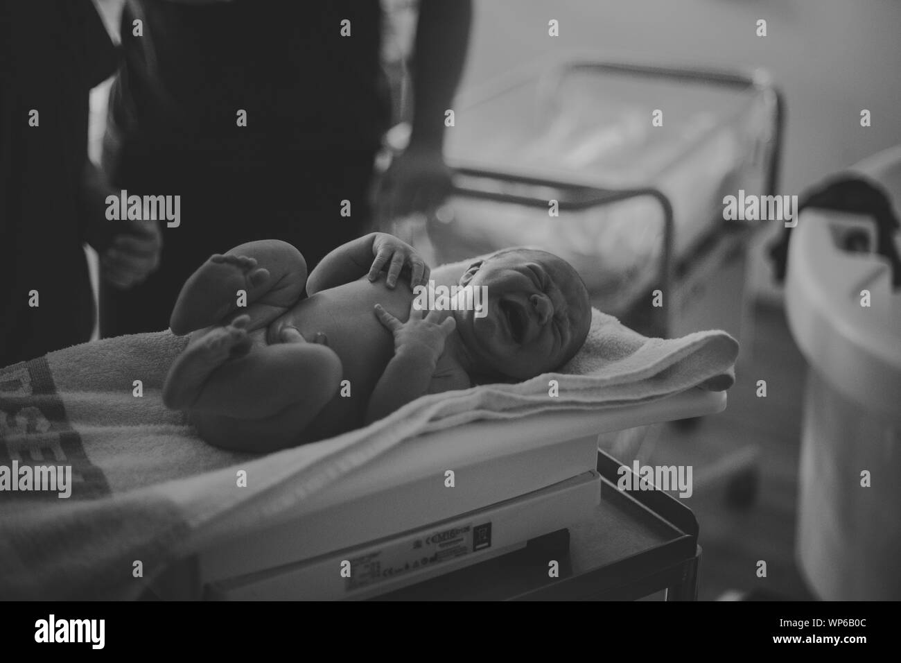 Authentic birth images, newborn baby being weighed Stock Photo