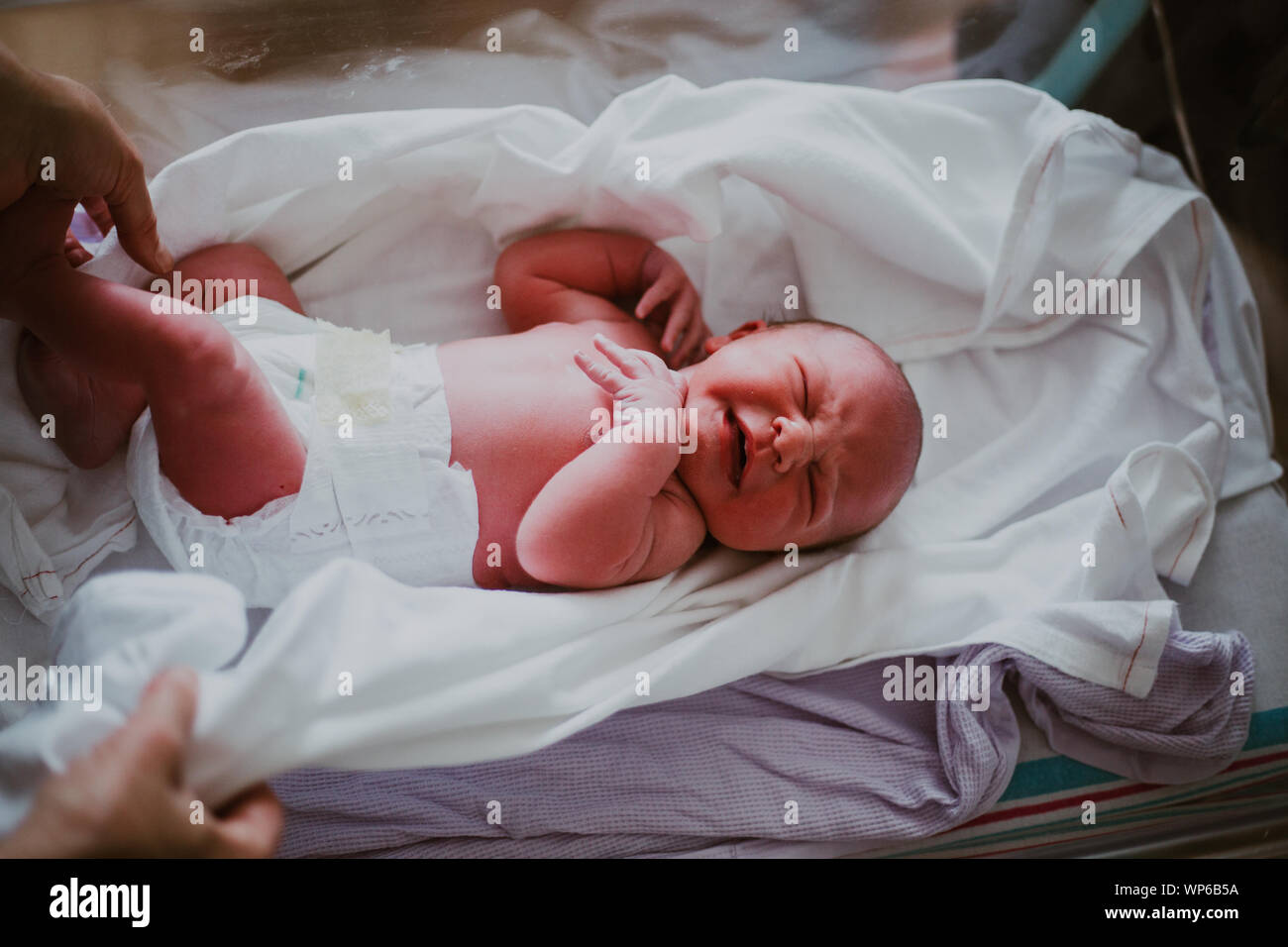Authentic birth images, woman giving birht in pool Stock Photo Alamy