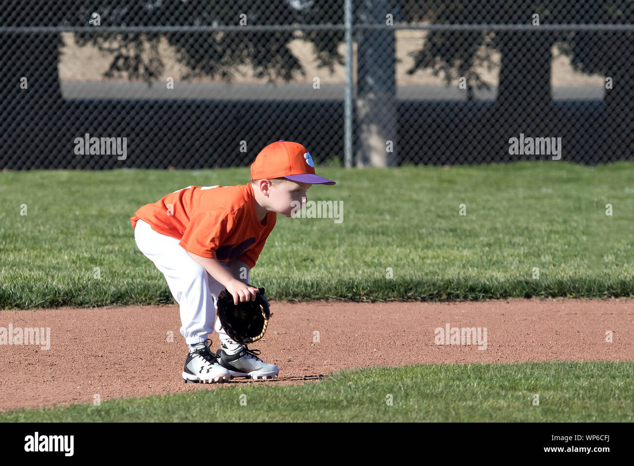 Boy playing tball and being coached by dad Stock Photo Alamy