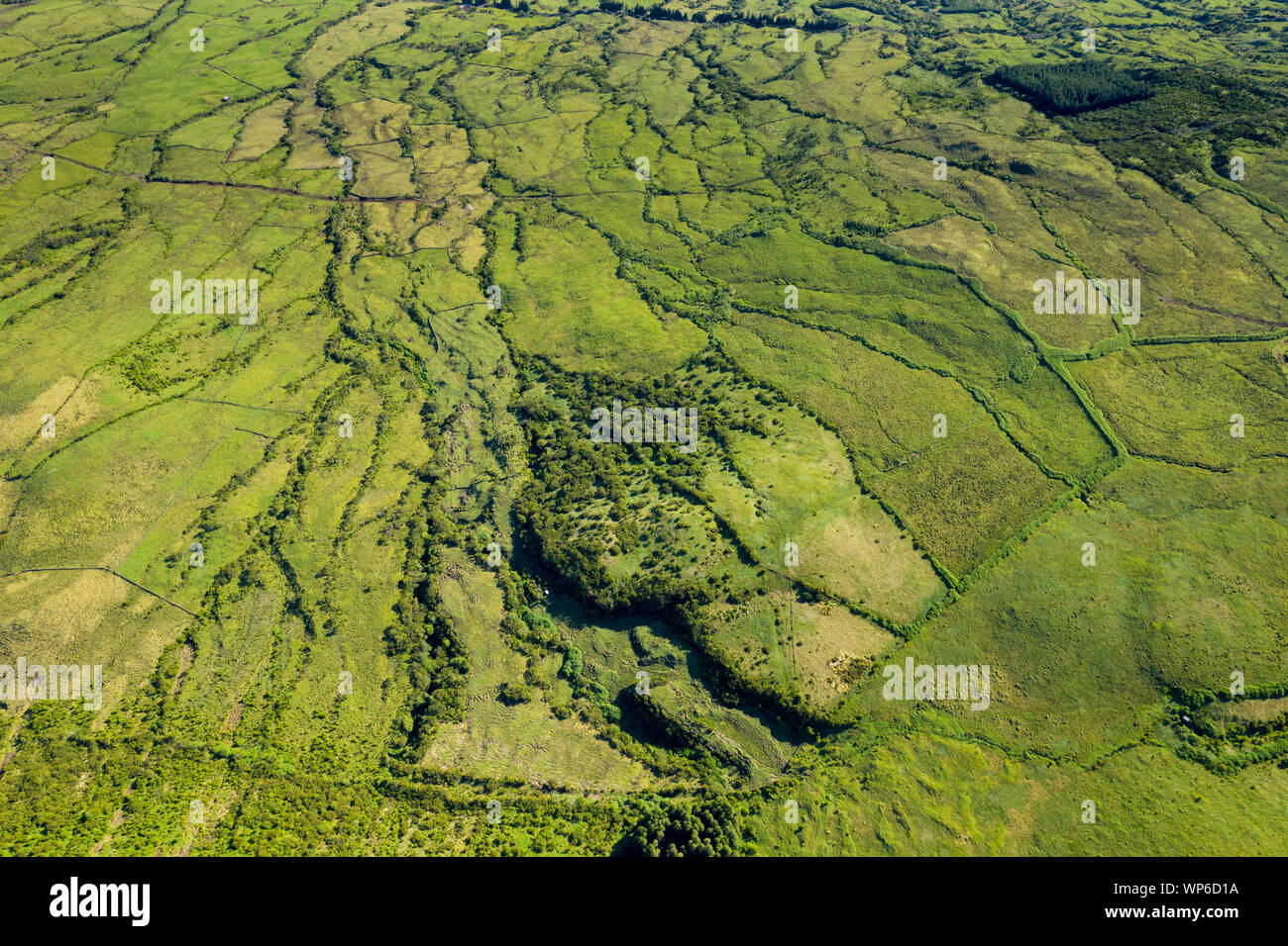 Aerial image of typical countryside landscape of Planalto da Achada central plateau of Ilha do Pico Island, Azores, Portugal Stock Photo