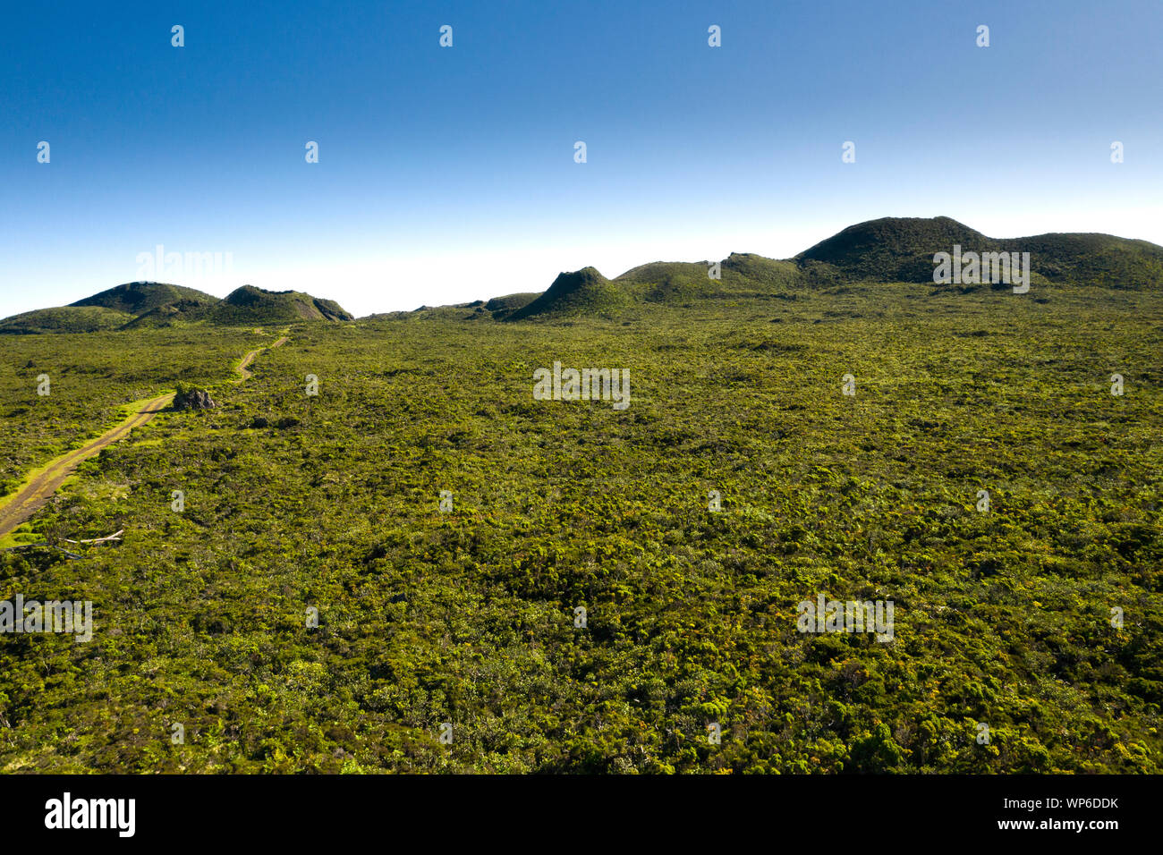Aerial image of typical green volcanic caldera crater landscape with volcano cones of Planalto da Achada central plateau of Ilha do Pico Island, Azore Stock Photo