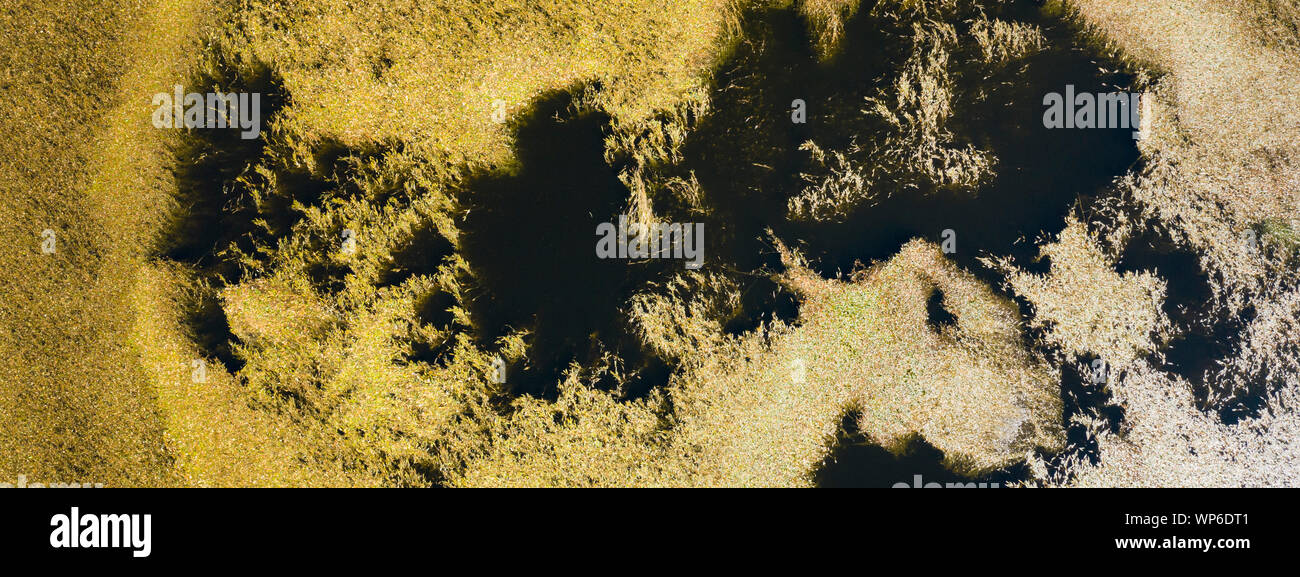 Aerial top view looking into a volcanic caldera crater lake with an abstract pattern of plants in the water, at the Planalto da Achada central plateau Stock Photo