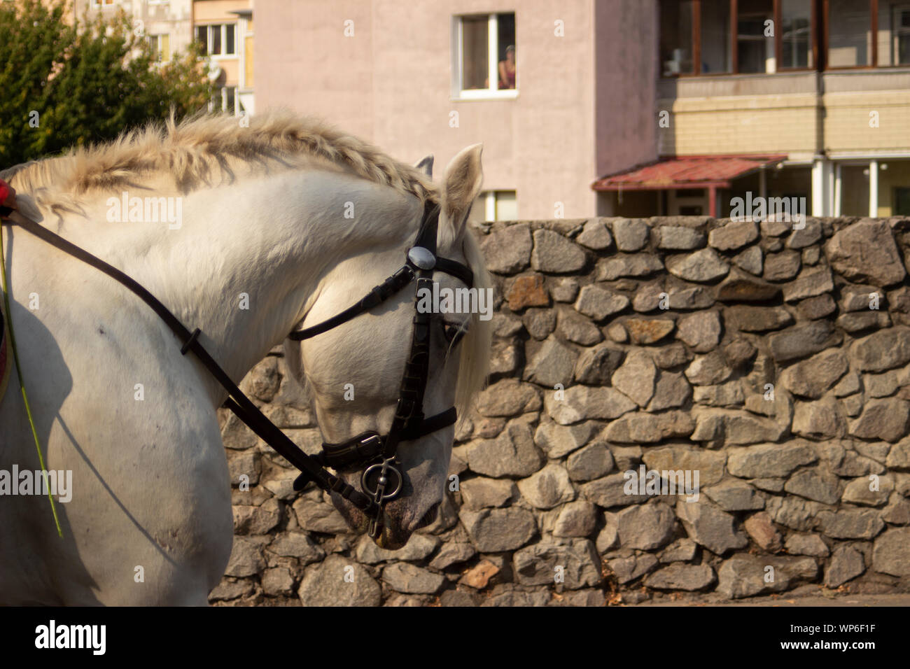City Day Festival in Ukrainka, Obukhov district, Kyiv region. Country Ukraine. Date: Shooting on September 07 (2019). Stock Photo