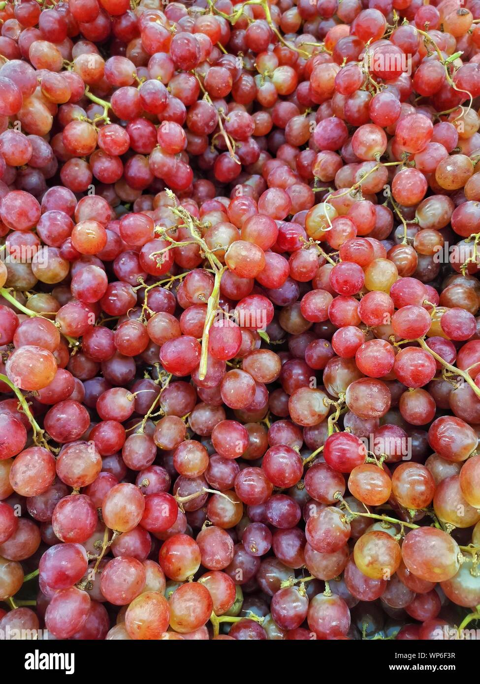 DOZENS OF RED GRAPES Stock Photo Alamy