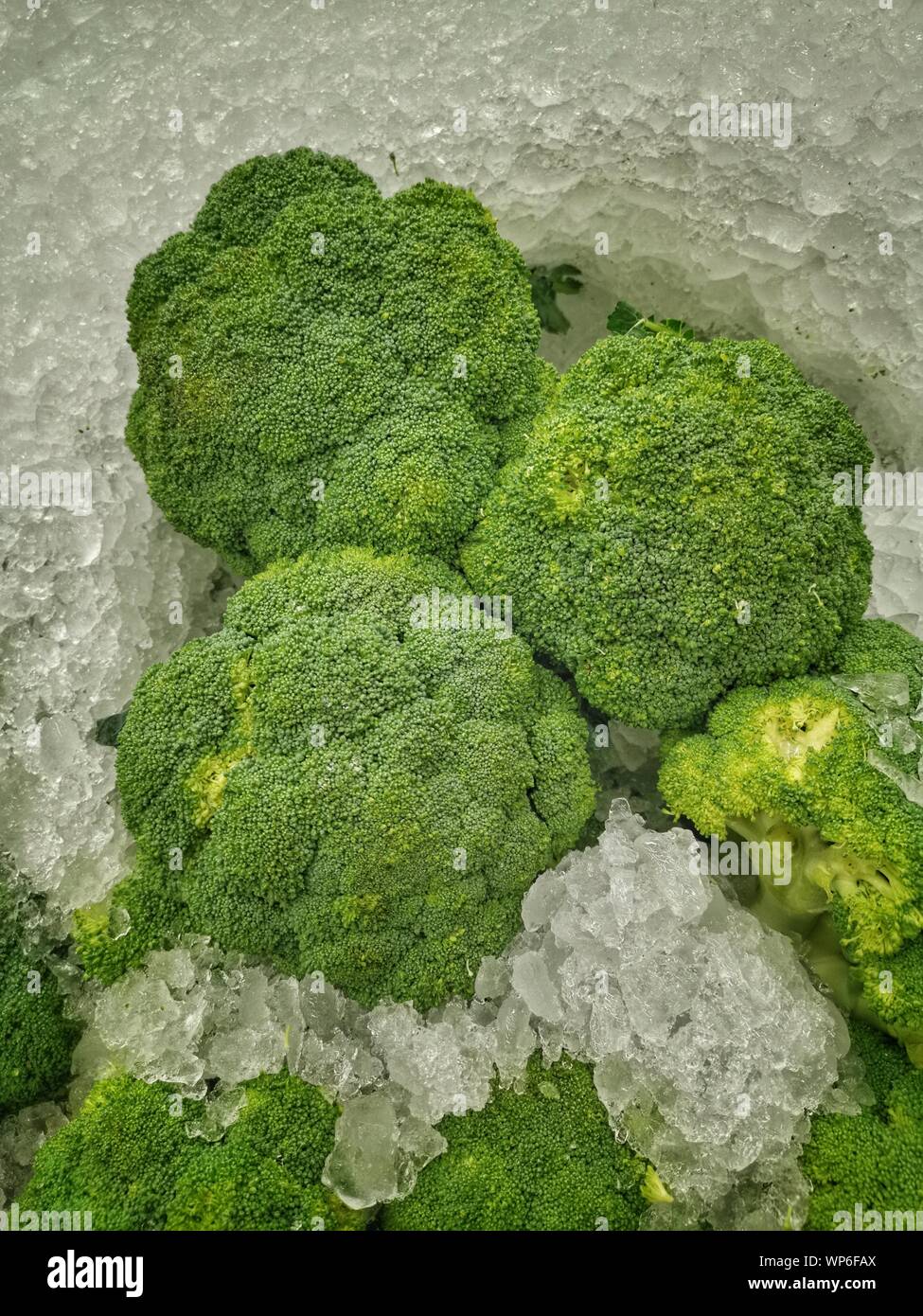 broccoli beat broccoli beat