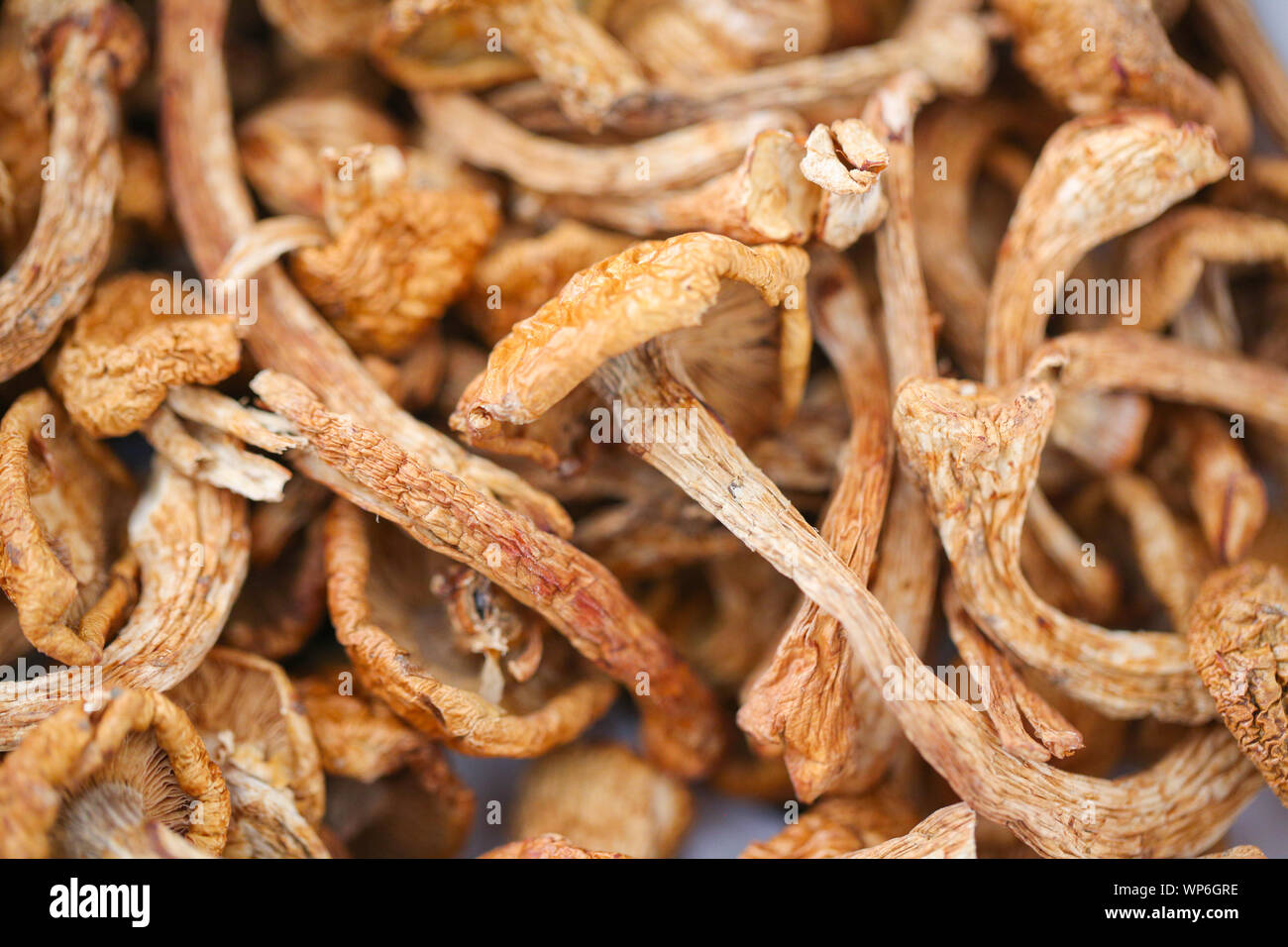 Stack of the dry mushroom - Image Stock Photo - Alamy