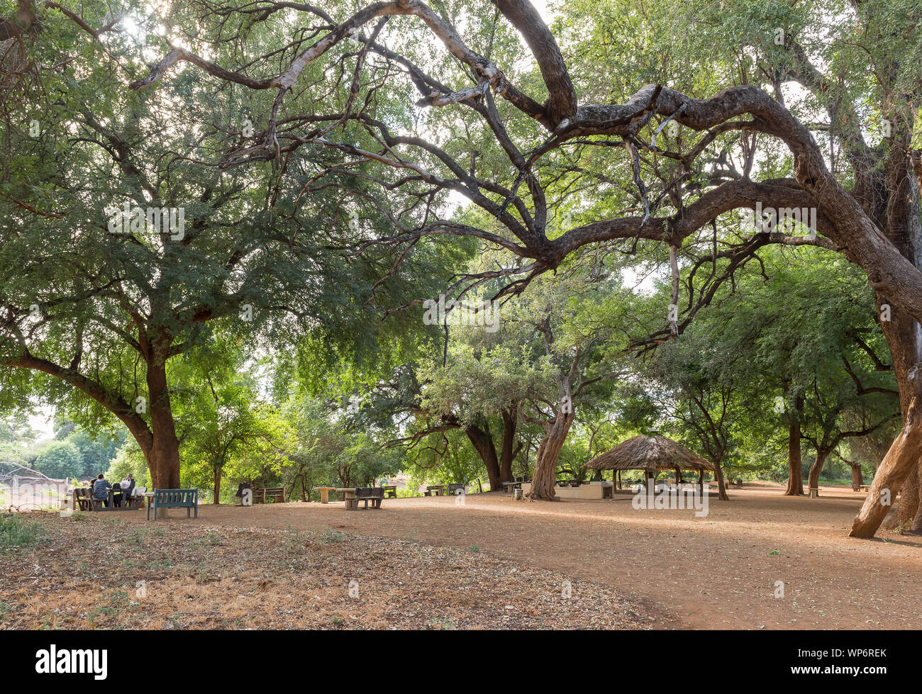 KRUGER NATIONAL PARK, SOUTH AFRICA - MAY 15, 2019: View of the Pafuri Picnic Site. People, tables and benches are visible Stock Photo