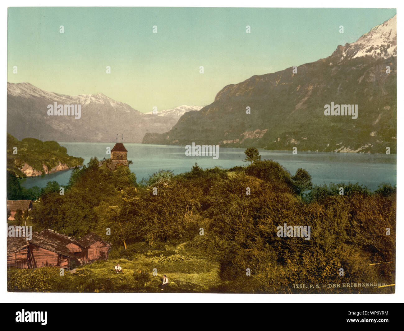 Lake of Brienz, Bernese Oberland, Switzerland; Forms part of: Views of Switzerland in the Photochrom print collection.; Title devised by Library staff.; Print no. 1266.; Stock Photo