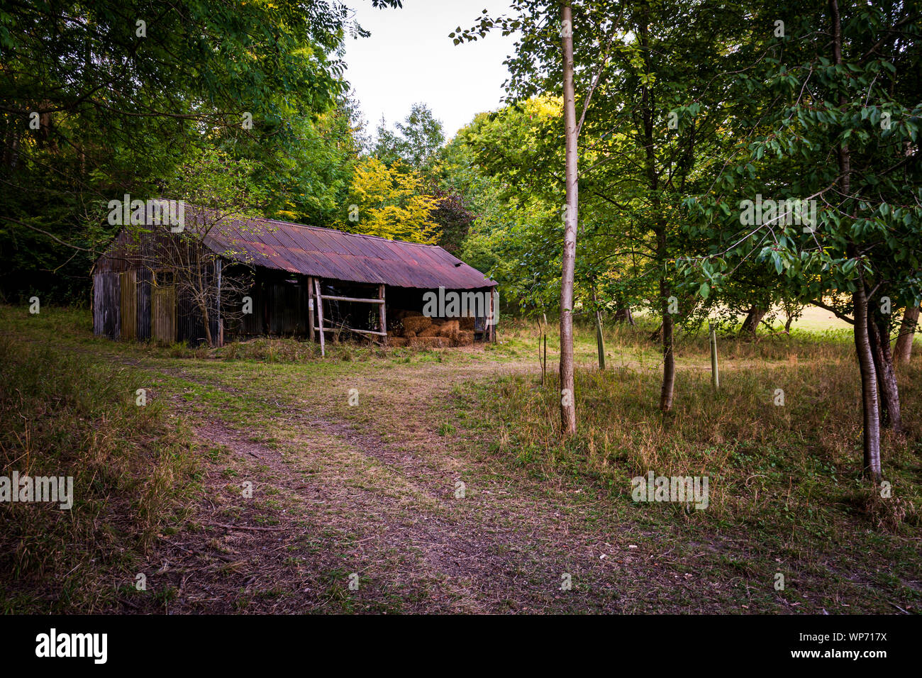 An Old Rundown Barn In The Woods Stock Photo 271832622 Alamy