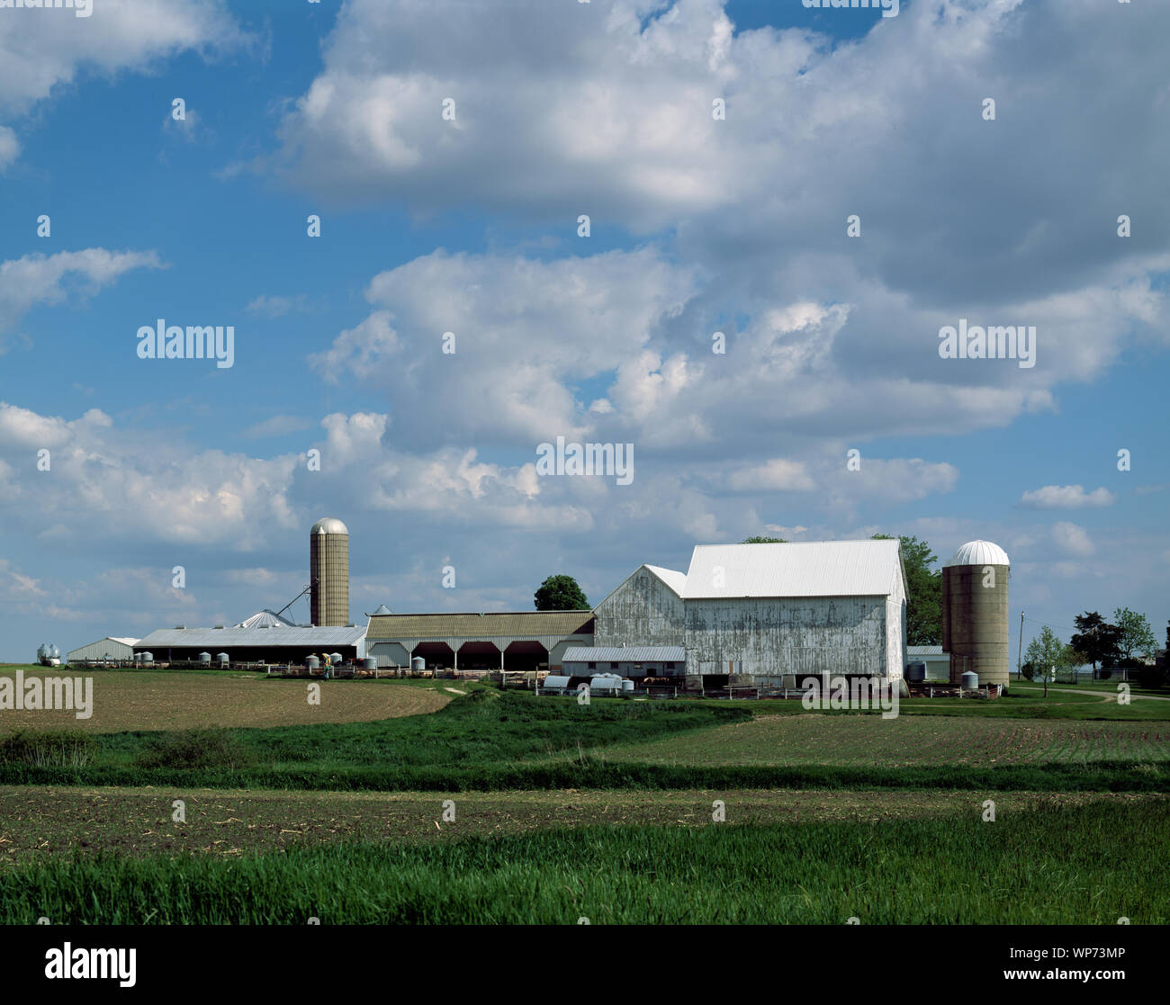 Large farm operations hi-res stock photography and images - Alamy