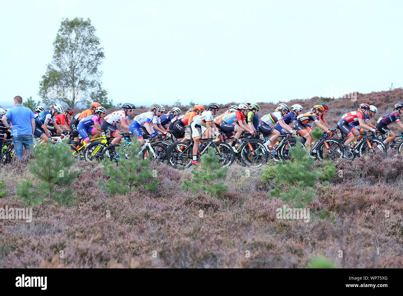 NIJVERDAL - 06-09-2019, cycling, Boels Ladies Tour, etappe 3, peloton during the 3rd stage of the Boel Ladies Tour 2019 Stock Photo