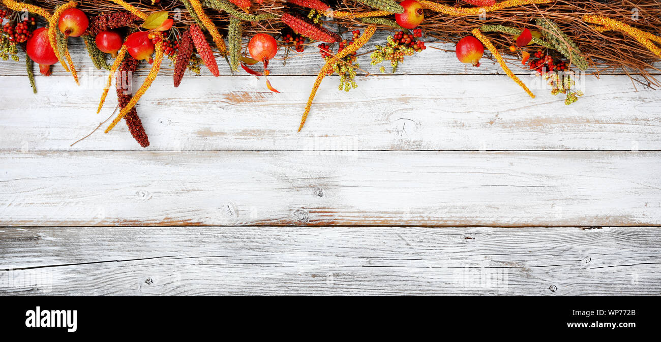 Thanksgiving decorations on top portion of white rustic wood Stock Photo