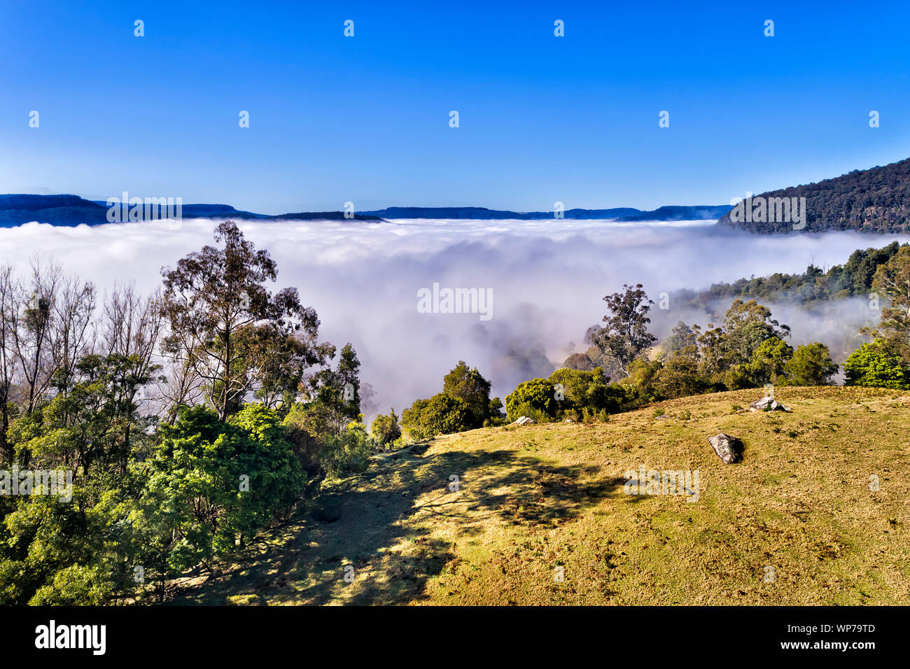 THick white clouds of fog invading Kangaroo valley and covering agricultural farm between sandstone mountain ranges on a sunny morning. Stock Photo