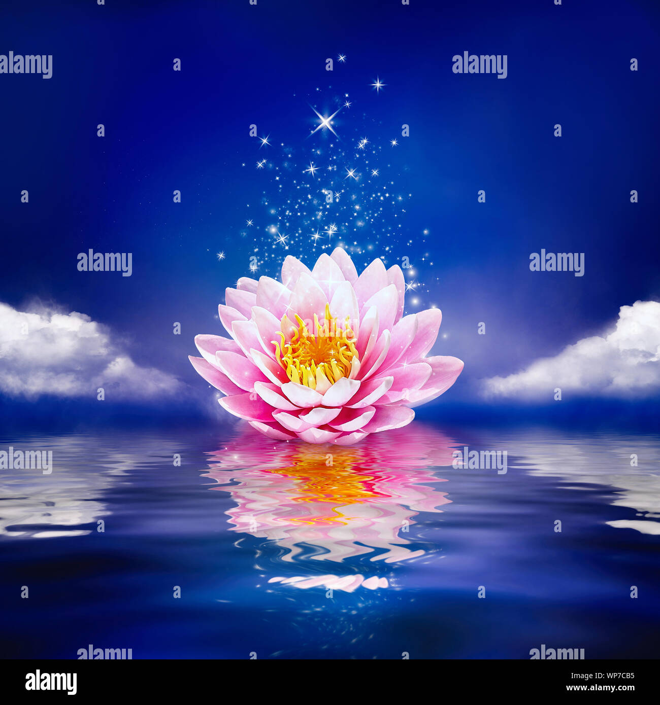 Beautiful magic flower on water. Waterlily or lotus and moon in night. Stock Photo