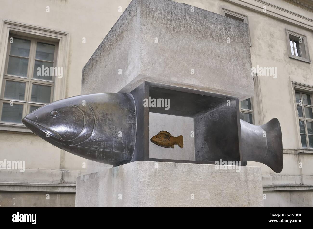 Er Fish High Resolution Stock Photography And Images Alamy