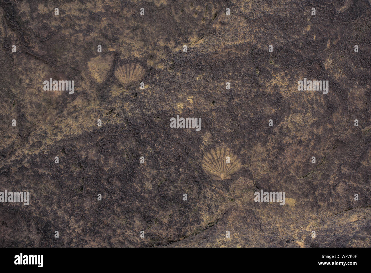 Close up background of yellow limestone with beautiful structure and
