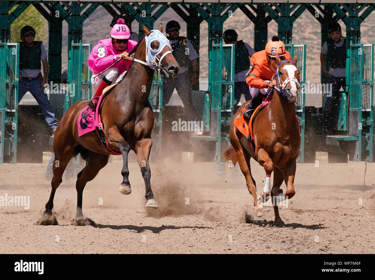 Two race horses finding their stride at the beginning of a race at Arizona Downs in Prescott Valley, Arizona on September 1, 2019 - Version 1 Stock Photo