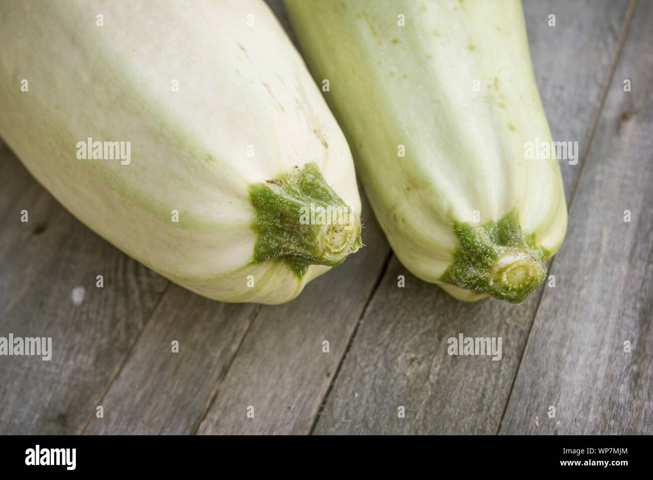Two ripe zucchini on a floor from old boards close-up Stock Photo