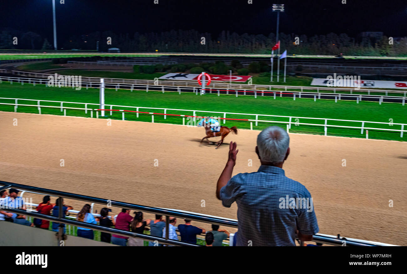 man watching horse race at racetrack Stock Photo